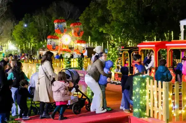 Mini Roda I — aluguer para eventos em Portugal (fotografia 5)