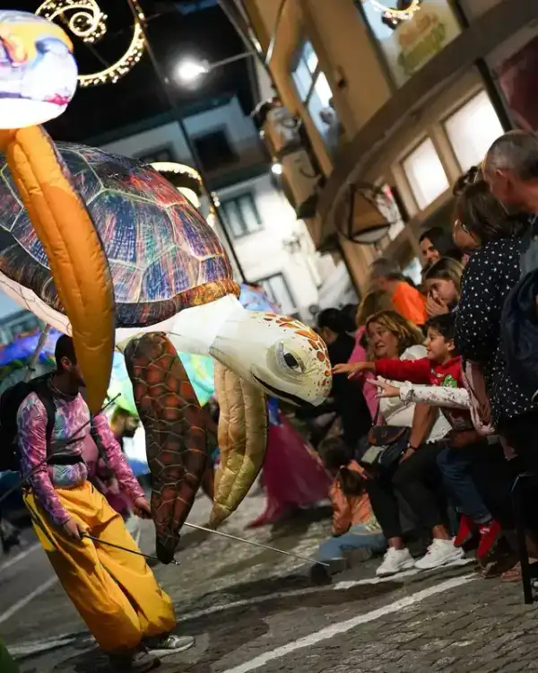 Paradas e Eventos — aluguer para eventos em Portugal (fotografia 5)