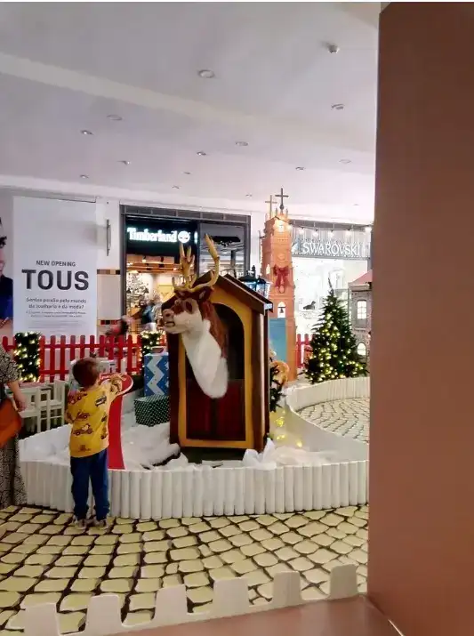 Rena Falante — aluguer para eventos em Portugal